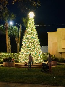 Spark the Spirit 2023 @ Christmas Park | New Smyrna Beach | Florida | United States