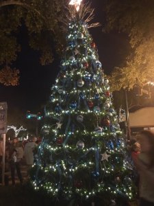 Spark the Spirit 2020 @ Christmas Park | New Smyrna Beach | Florida | United States